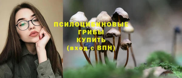 прущие крисы Арсеньев