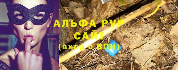 прущие крисы Арсеньев