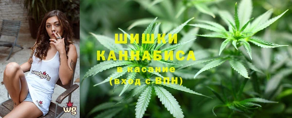 прущие крисы Арсеньев