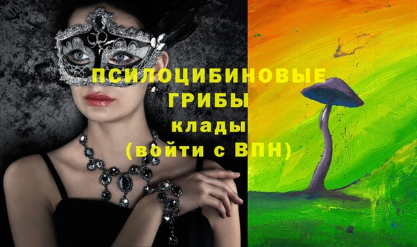 PSILOCYBIN Пролетарск