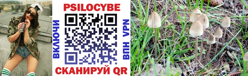 Псилоцибиновые грибы прущие грибы  KRAKEN ONION  Снежинск 